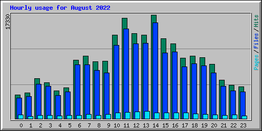 Hourly usage for August 2022